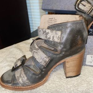 Freebird by Steven Violets